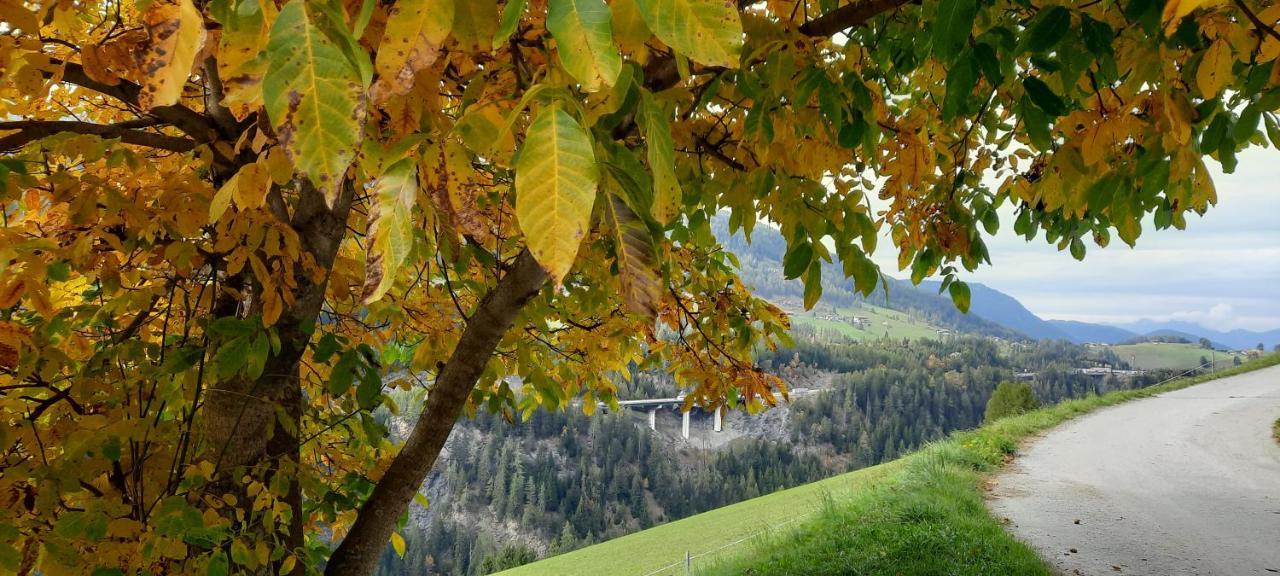 Steinhof Apartment Gries am Brenner Bagian luar foto